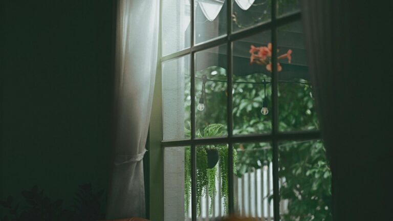 looking outside of a window with sheer drape in front and a green forest behind