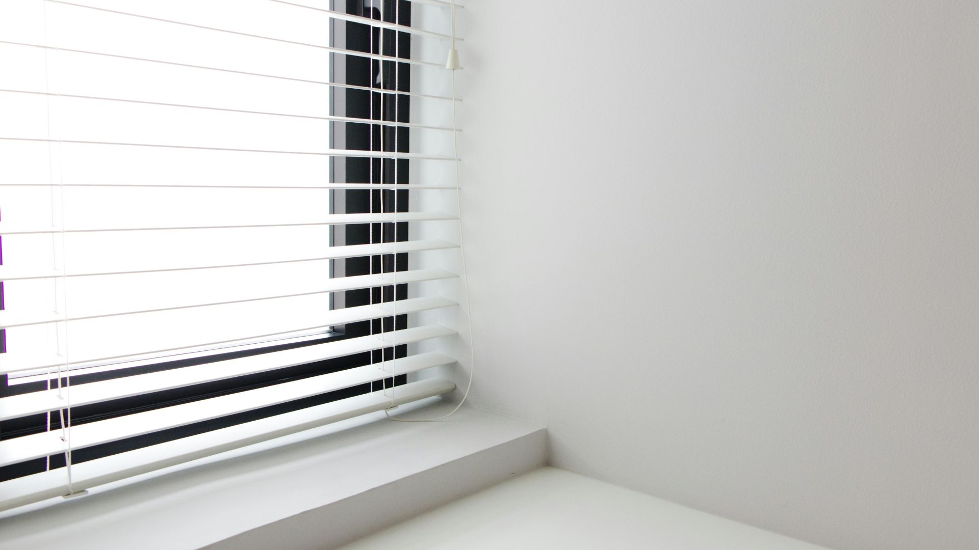 white blind in the window sill