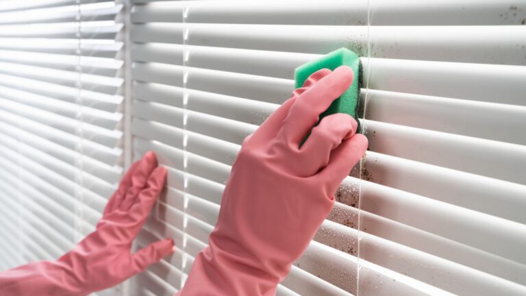 Person Cleaning Window Blinds